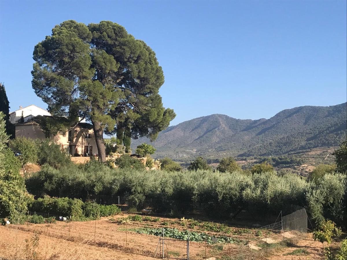 Bed and Breakfast Cortijo El Pino Retreat Albuñuelas Exterior foto